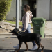 Cesar Millan: Better Human Better Dog - Bessere Menschen, bessere Hunde