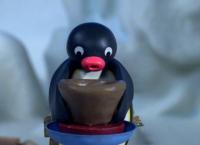 Pingu