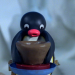 Pingu