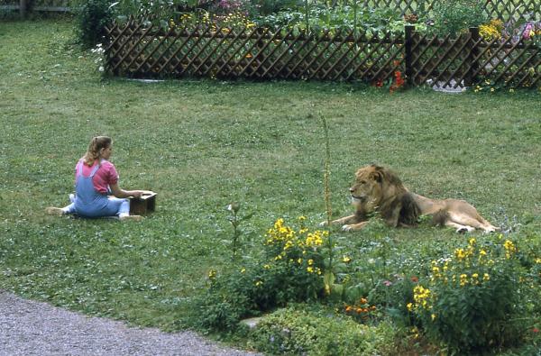 Bild 1 von 1: Angie (Angelika Reißner) hat sich mit dem Löwen von einem Wanderzirkus angefreundet. Sie findet es ganz normal, dass sie der Löwe plötzlich in Brinkmanns Garten besucht.