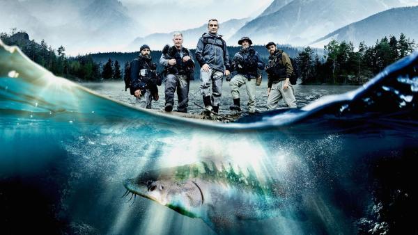 Bild 1 von 8: .