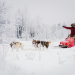Abenteuer Lappland - Die Husky-Tour des Lebens