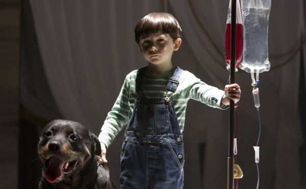 Bild 1 von 4: Damien (Seamus Davey-Fitzpatrick)