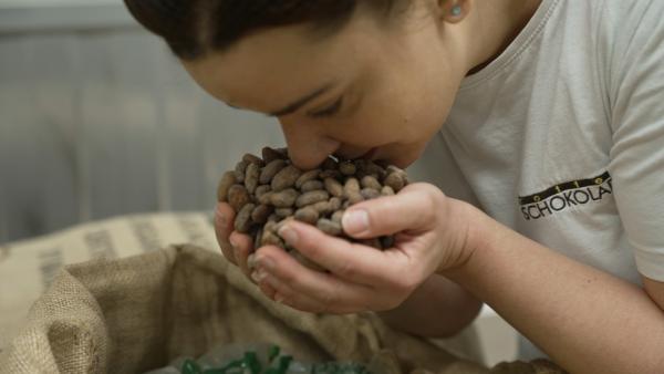 Bild 1 von 3: Der intensive Duft der Kakaobohnen gehört für Chocolatiers zur Qualitätsprüfung dazu. Die Reportage begleitet die Bohnen auf ihrem langen Weg vom Ursprung bis zur fertigen Schokolade in Europas Manufakturen.