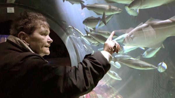 Bild 1 von 3: Rentnerin Regina unternimmt einen Ausflug ins Ozeaneum Stralsund