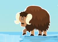 INUI - Abenteuer am Nordpol