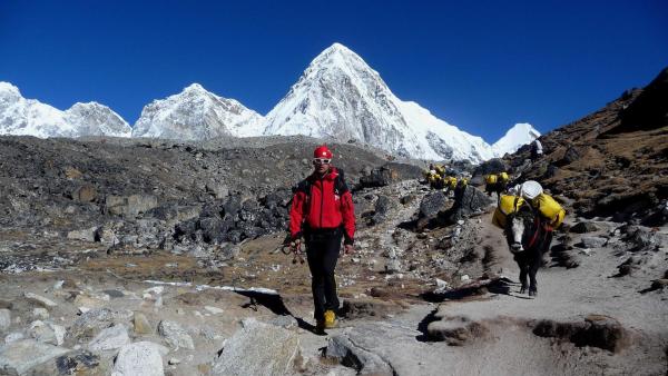 Bild 1 von 25: Im Bild: Trekkingtouristen unterwegs im Mount Everest Nationalpark, im Hintergrund Yaks als Transportmittel und Mount Pumori.