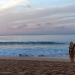 Das Herz von Hawaii - Die Insel Oahu
