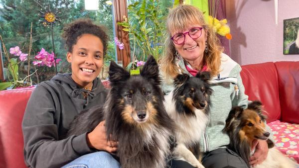 Bild 1 von 5: Shelties sind keine typischen Schoßhunde. Aber gegen Streicheleinheiten haben die flauschigen Vierbeiner nichts einzuwenden.