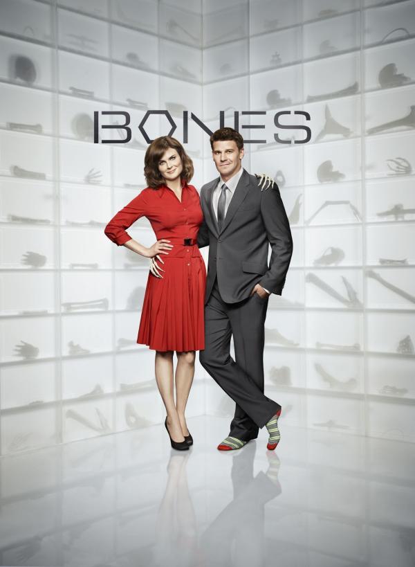 Bild 1 von 10: (6. Staffel) - Bones - Artwork