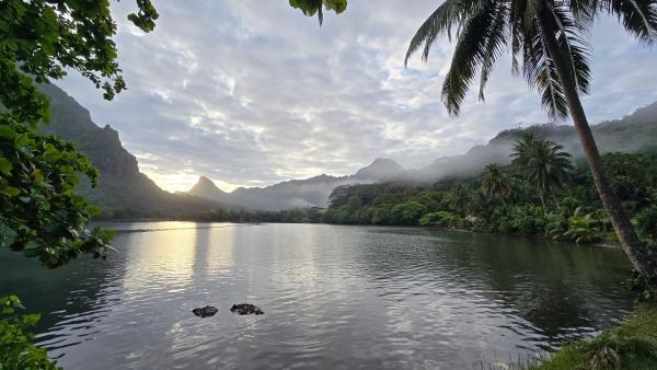 Bild 1 von 4: Die Baie d'Opunohu ist eine von zwei langen Buchten, die bis ins Landesinnere der Vulkaninsel Moorea reichen.