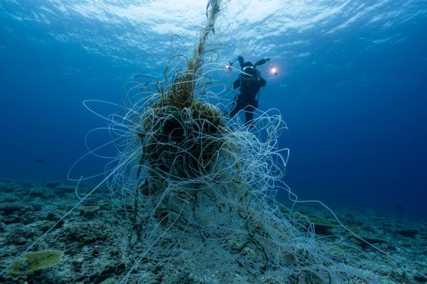 Bild 1 von 15: Bei der Arbeit im Chagos-Archipel stoßen die Forschenden auf einen Fischsammler - diese Strukturen im Wasser sollen Fische anlocken. Im Meeresschutzgebiet ist das absolut illegal.