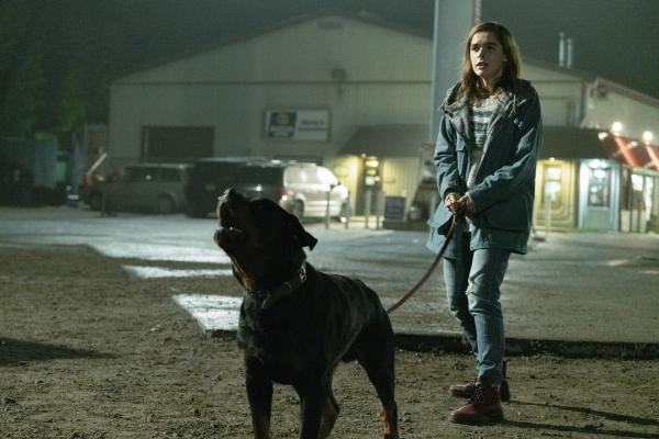 Bild 1 von 7: Ally Andrews (Kiernan Shipka)