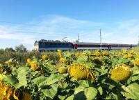 Mit dem Zug durch Ungarn