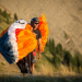 Mission Extrem - Die Rocky Mountains Traverse