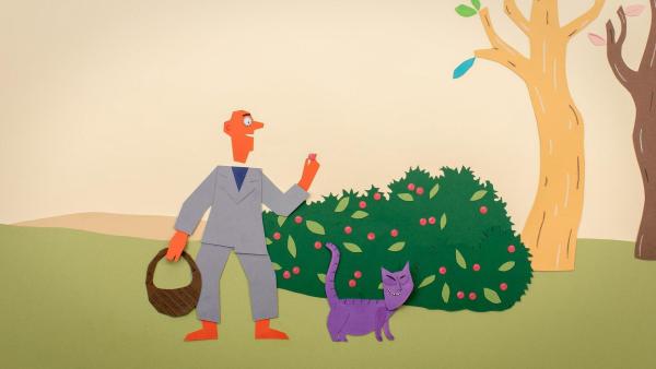 Bild 1 von 11: Mister Paper