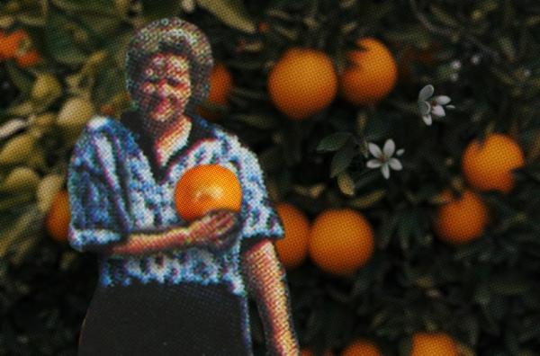 Bild 1 von 5: Die DDR-Bürger staunen über die Orangenbäume auf Mallorca.