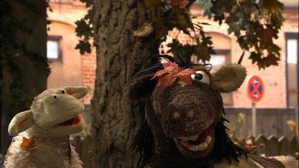 Bild 1 von 5: Wolle und Pferd sitzen im Garten, doch es ist so kalt und windig geworden. Dann fallen auch noch die Blätter von den Bäumen - das muss der Herbst sein! Die beiden wollen aber noch gar keinen Herbst haben und beschließen, ihn aufzuhalten.