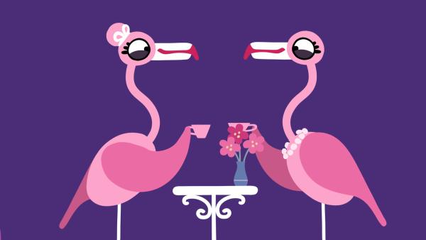 Bild 1 von 7: Die Flamingos genießen ihr Kaffeekränzchen.