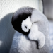 Eisbabys - Eine Kindheit in der Antarktis