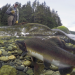 360° Geo Reportage