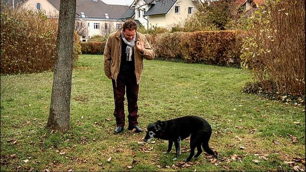 Bild 1 von 21: Im Bild: Thomas Stipsits.