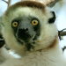 Hotspots der Tierwelt