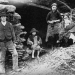 Die große Hungersnot in Irland