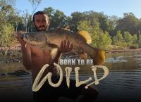 Andrew Ucles - Born To Be Wild