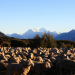 Abenteuer Neuseeland