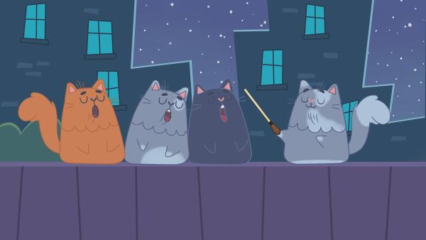 Bild 1 von 4: Die Straßenkater geben ein Nachtkonzert.