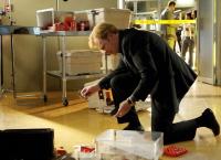 CSI: Miami