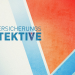 Die Versicherungsdetektive