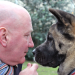 Die geheime Welt der Hunde