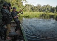 Giganten unter Wasser - Riesenfischen auf der Spur