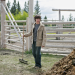 Heartland - Paradies für Pferde