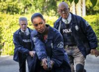Major Crimes
