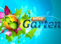 MDR Garten
