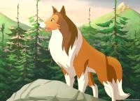 Lassie
