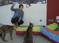 Anna und die Haustiere