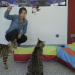 Anna und die Haustiere