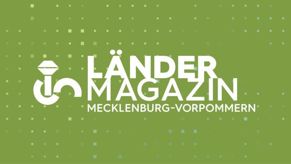 Bild 1 von 1: Logo \