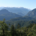 Mythos Wald