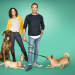 Kleine Hunde - Großes Chaos