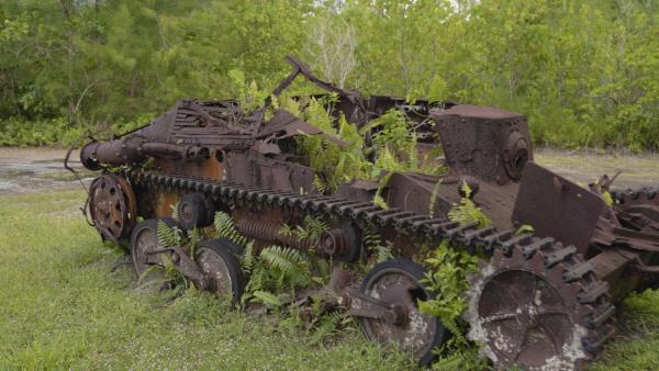 Bild 1 von 3: Während des zweiten Weltkriegs wurde die kleine Insel Peleliu zum Austragungsort einer grausamen Schlacht. Mehr als 12.000 US-amerikanische und japanische Soldaten verloren dort ihr Leben.