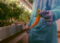 Marvellous Machines: Superkräfte