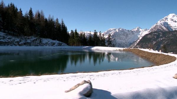 Bild 1 von 2: .