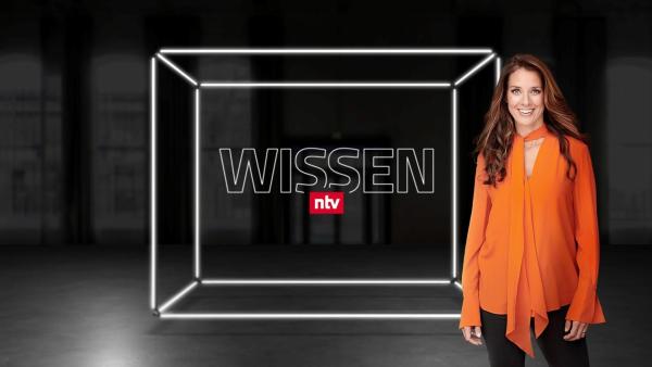 Bild 1 von 2: 