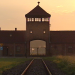 Über Leben in Auschwitz