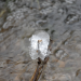 Abenteuer Wildnis
